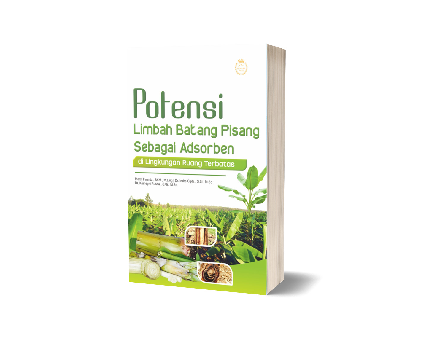 POTENSI LIMBAH BATANG PISANG SEBAGAI ADSORBEN DI LINGKUNGAN RUANG TERBATAS
