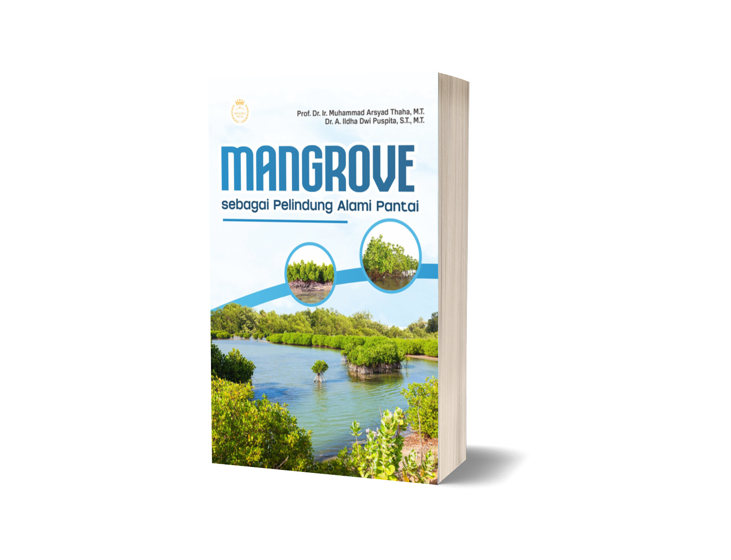 MANGROVE SEBAGAI PELINDUNG ALAMI PANTAI