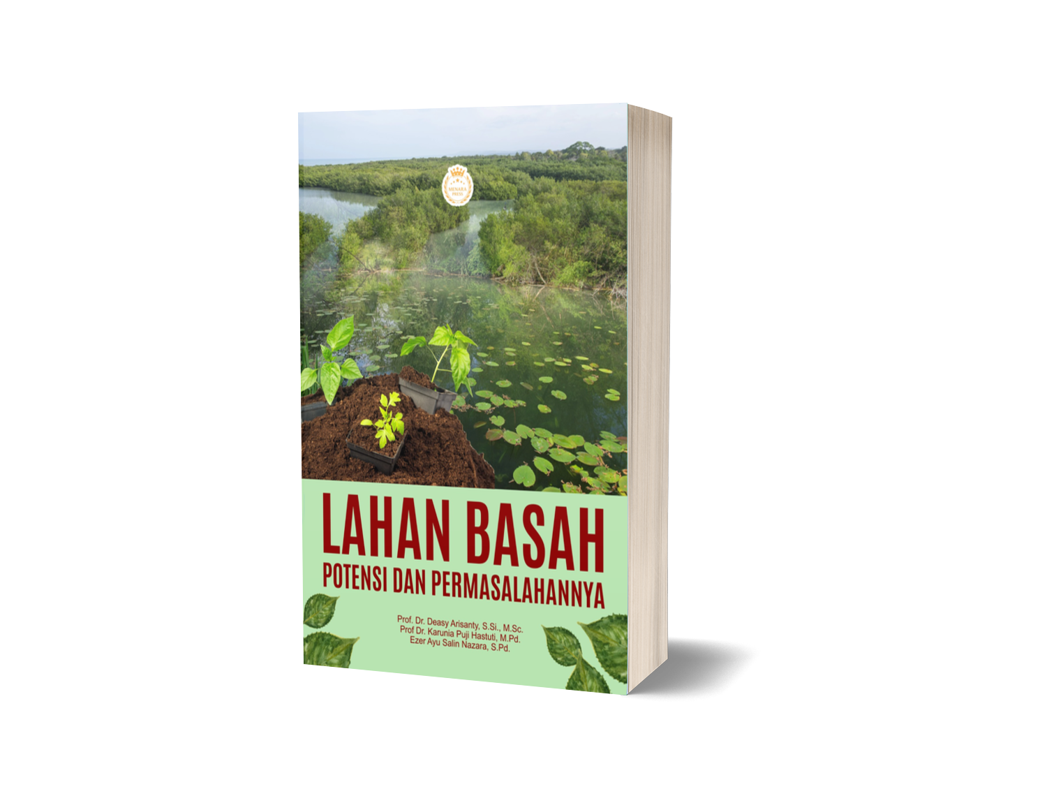 LAHAN BASAH: POTENSI DAN PERMASALAHANNYA