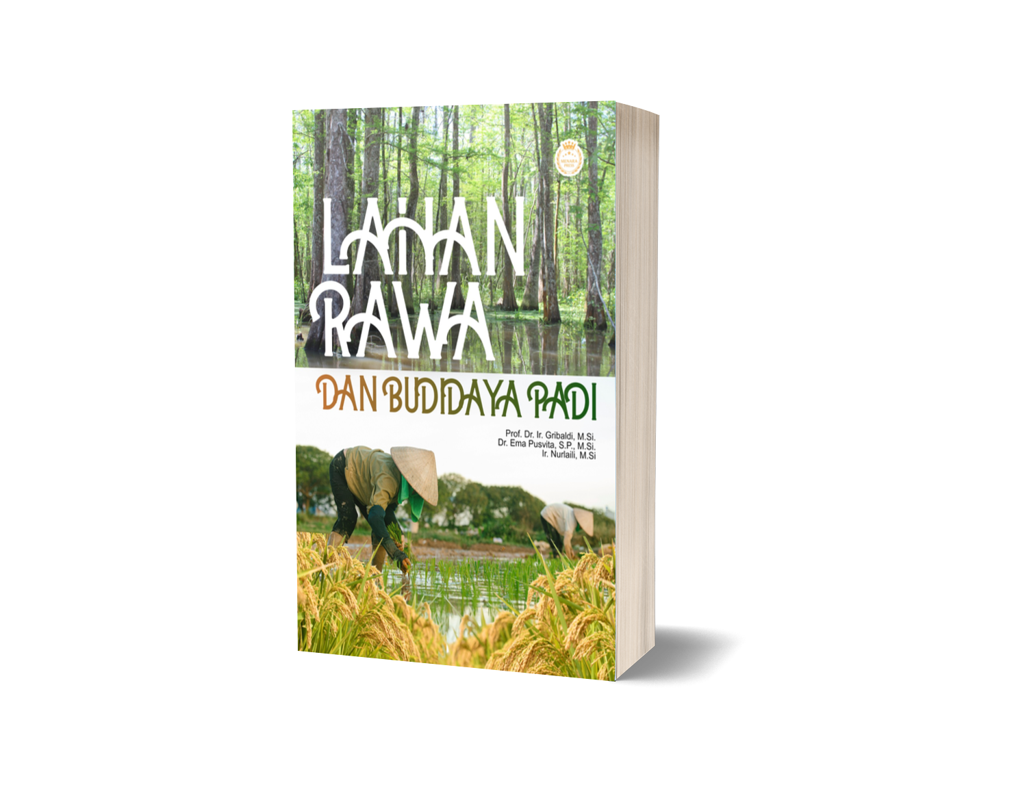 LAHAN RAWA DAN BUDIDAYA PADI