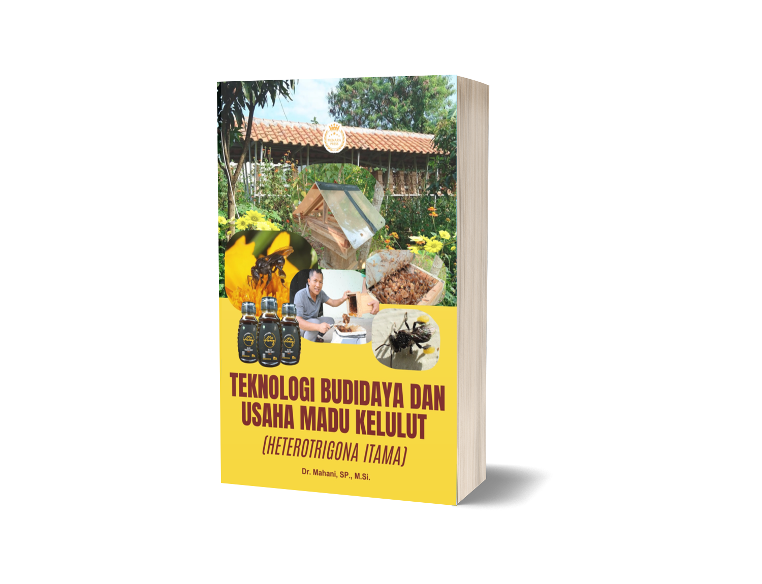 TEKNOLOGI BUDIDAYA DAN USAHA MADU KELULUT (Heterotrigona itama)