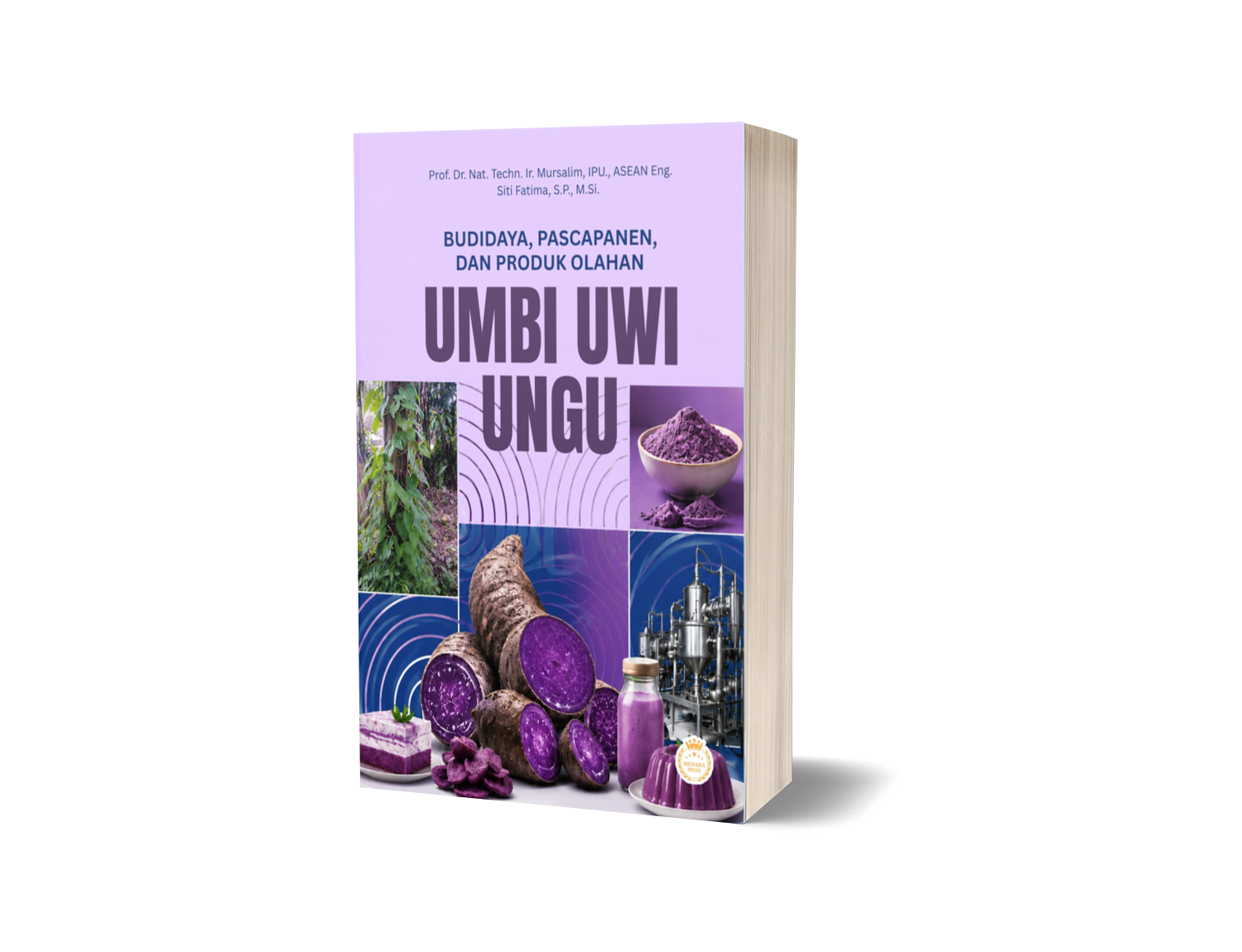 BUDIDAYA, PASCAPANEN, DAN PRODUK OLAHAN UMBI UWI UNGU