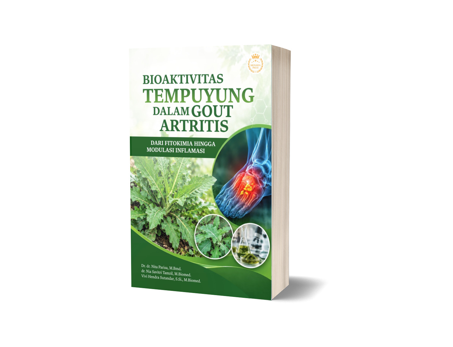 BIOAKTIVITAS TEMPUYUNG DALAM GOUT ARTRITIS Dari Fitokimia hingga Modulasi Inflamasi